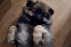 IMG-20190326-WA0000