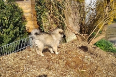IMG-20190327-WA0001