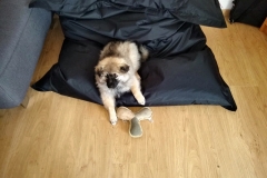 IMG-20190331-WA0023