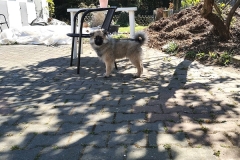 IMG-20190418-WA0007