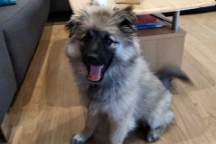 IMG-20190424-WA0049