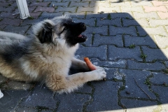 IMG-20190515-WA0002