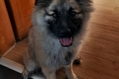 IMG-20190524-WA0018