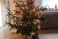 IMG-20191224-WA0012