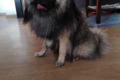 IMG-20200111-WA0011