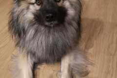 IMG-20200920-WA0011