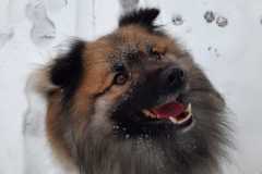 IMG-20210207-WA0006