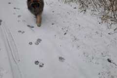 IMG-20210207-WA0007