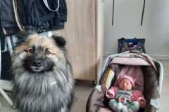 IMG-20210608-WA0012