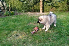 IMG-20190331-WA0000