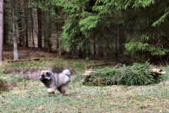 IMG-20190406-WA0005