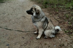 IMG-20190428-WA0008