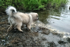 IMG-20190501-WA0001