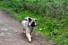 IMG-20190504-WA0009