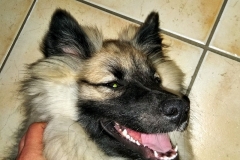 IMG-20190526-WA0021