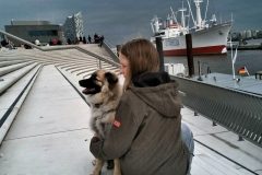 IMG-20190530-WA0020