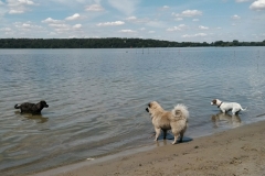 IMG-20190711-WA0024
