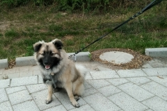 IMG-20190718-WA0028