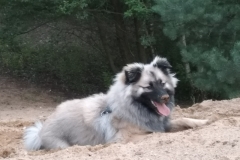 IMG-20190804-WA0059