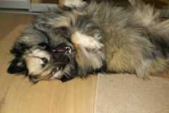 IMG-20200920-WA0013