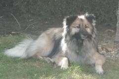 IMG-20210220-WA0005