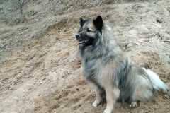 IMG-20210220-WA0008