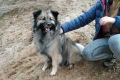 IMG-20210220-WA0009