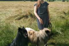 IMG-20210629-WA0020