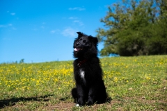 IMG-20190730-WA0009