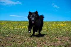 IMG-20190730-WA0011
