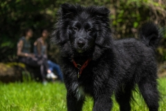 IMG-20190730-WA0013