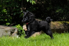 IMG-20190730-WA0015