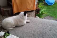 IMG-20210626-WA0018