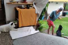 IMG-20210627-WA0006