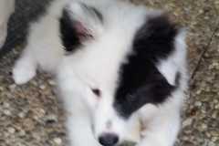IMG-20210627-WA0007