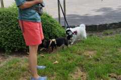 IMG-20210627-WA0011