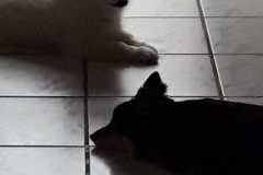 IMG-20210628-WA0020