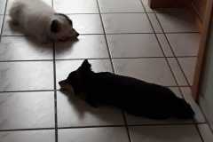 IMG-20210628-WA0021