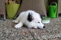 IMG-20210630-WA0000
