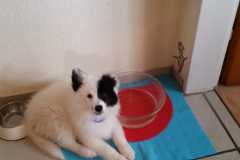 IMG-20210630-WA0004
