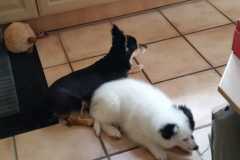 IMG-20210701-WA0004