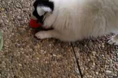 IMG-20210702-WA0007