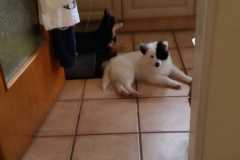 IMG-20210706-WA0000