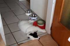 IMG-20210710-WA0000