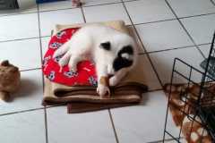 IMG-20210710-WA0003