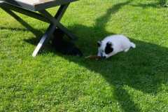 IMG-20210711-WA0006