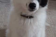 IMG-20210712-WA0002
