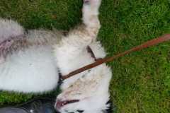 IMG-20210712-WA0050