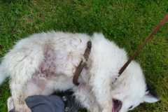 IMG-20210712-WA0051