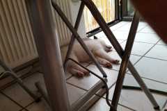 IMG-20210713-WA0002